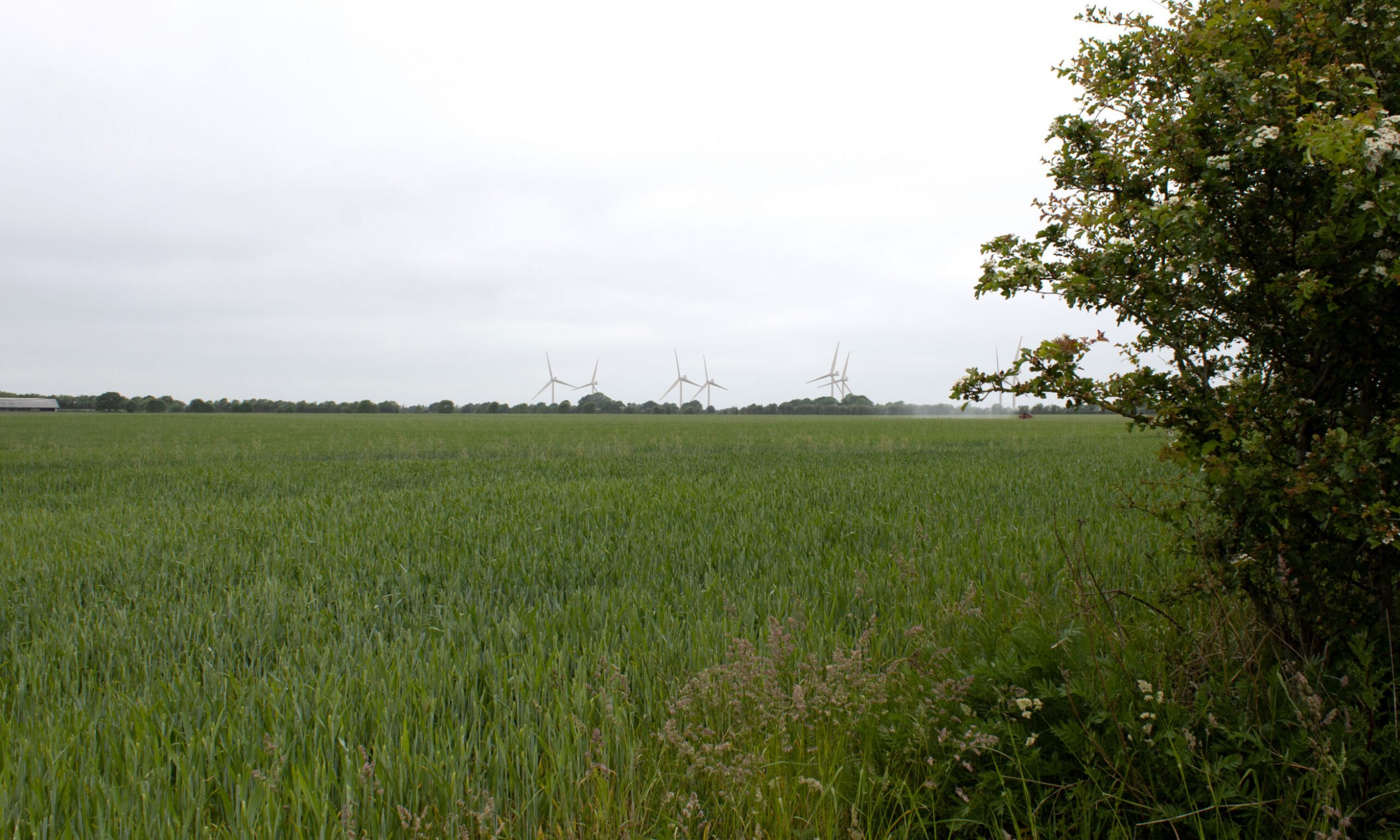 K8_180mMølle